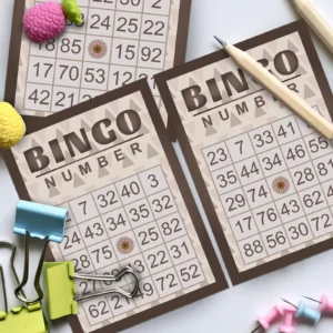 Bingo Cards with Number Chips
